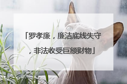 罗孝廉，廉洁底线失守，非法收受巨额财物
