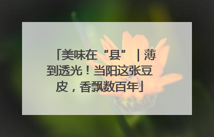 美味在“县”｜薄到透光！当阳这张豆皮，香飘数百年