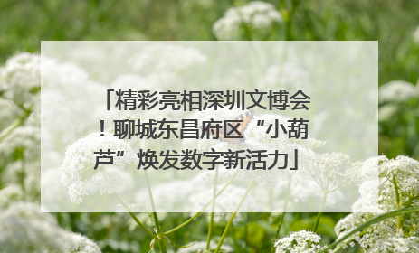 精彩亮相深圳文博会！聊城东昌府区“小葫芦”焕发数字新活力