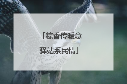 粽香传暖意 驿站系民情