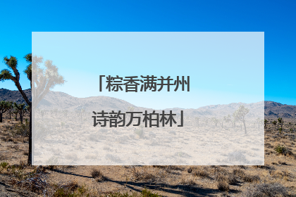 粽香满并州 诗韵万柏林