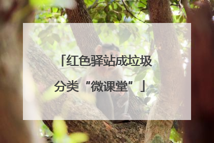 红色驿站成垃圾分类“微课堂”