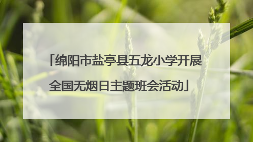 绵阳市盐亭县五龙小学开展全国无烟日主题班会活动