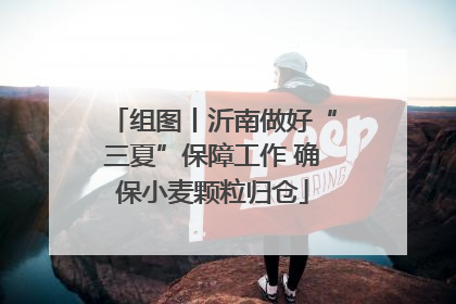 组图丨沂南做好“三夏”保障工作 确保小麦颗粒归仓