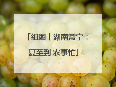 组图丨湖南常宁：夏至到 农事忙