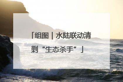 组图｜水陆联动清剿“生态杀手”