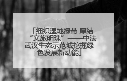 细织湿地绿带 厚结“文旅明珠”——中法武汉生态示范城挖掘绿色发展新动能