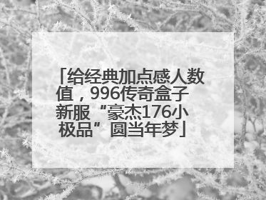 给经典加点感人数值，996传奇盒子新服“豪杰176小极品”圆当年梦