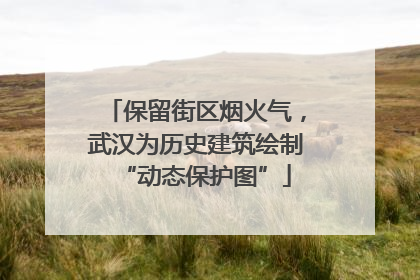 保留街区烟火气，武汉为历史建筑绘制“动态保护图”