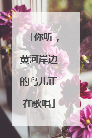 你听，黄河岸边的鸟儿正在歌唱