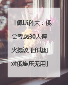 佩斯科夫：俄会考虑30天停火提议 但试图对俄施压无用