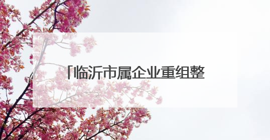 临沂市属企业重组整合方案已完成初稿