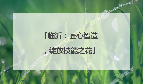 临沂：匠心智造，绽放技能之花
