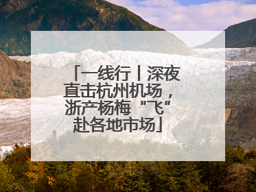 一线行丨深夜直击杭州机场，浙产杨梅“飞”赴各地市场
