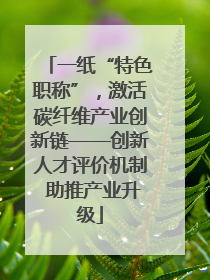 一纸“特色职称”，激活碳纤维产业创新链——创新人才评价机制 助推产业升级