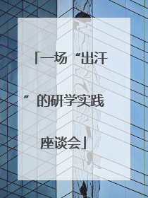一场“出汗”的研学实践座谈会