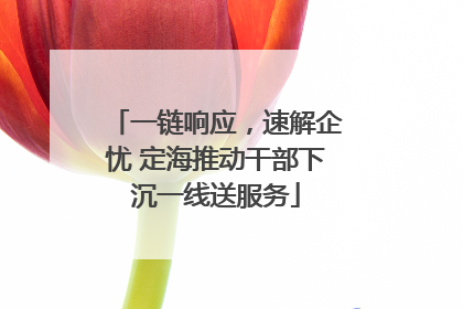 一链响应，速解企忧 定海推动干部下沉一线送服务