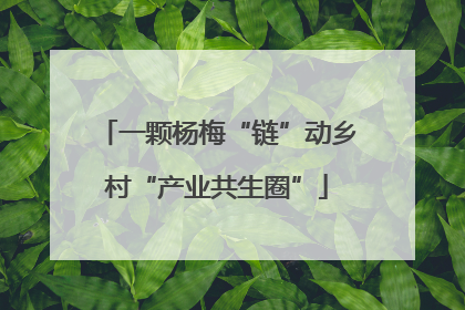 一颗杨梅“链”动乡村“产业共生圈”
