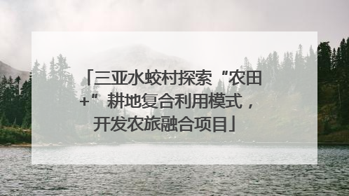 三亚水蛟村探索“农田+”耕地复合利用模式，开发农旅融合项目