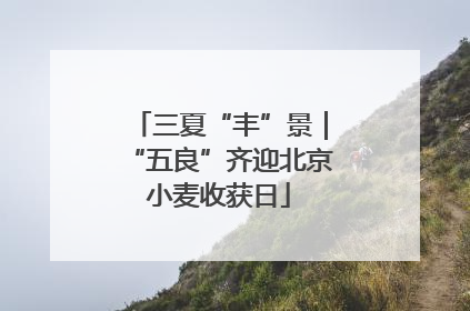 三夏“丰”景｜“五良”齐迎北京小麦收获日