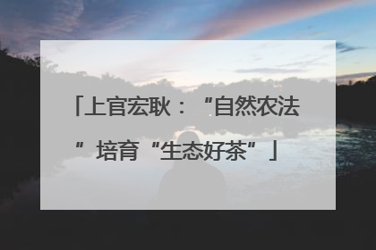 上官宏耿：“自然农法”培育“生态好茶”
