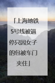 上海地铁5号线被逼停只因女子的包被车门夹住