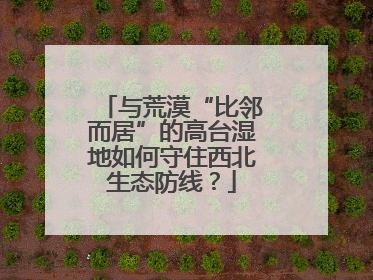 与荒漠“比邻而居”的高台湿地如何守住西北生态防线？