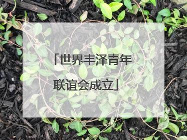 世界丰泽青年联谊会成立