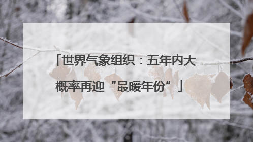 世界气象组织：五年内大概率再迎“最暖年份”