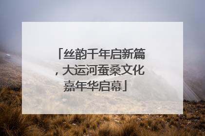丝韵千年启新篇，大运河蚕桑文化嘉年华启幕