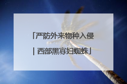 严防外来物种入侵｜西部黑寡妇蜘蛛