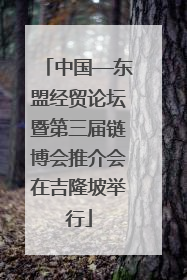 中国—东盟经贸论坛暨第三届链博会推介会在吉隆坡举行