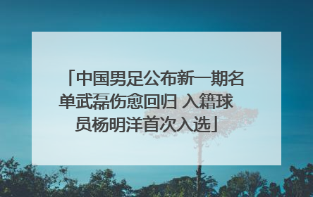中国男足公布新一期名单武磊伤愈回归 入籍球员杨明洋首次入选