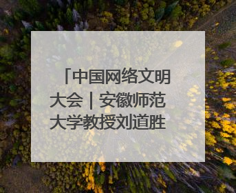 中国网络文明大会｜安徽师范大学教授刘道胜：“E”览徽风，构筑中华民族共有精神家园