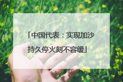 中国代表：实现加沙持久停火刻不容缓