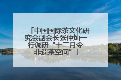 中国国际茶文化研究会副会长张仲灿一行调研“十二月令·非遗茶空间”