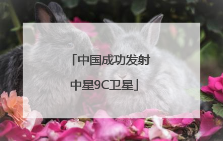 中国成功发射中星9C卫星