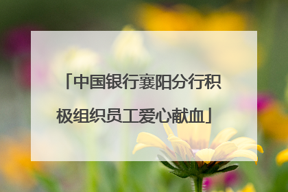 中国银行襄阳分行积极组织员工爱心献血