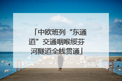 中欧班列“东通道”交通咽喉绥芬河隧道全线贯通