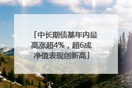 中长期债基年内最高涨超4%，超6成净值表现创新高