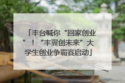 丰台喊你“回家创业”！“丰翼创未来”大学生创业争霸赛启动