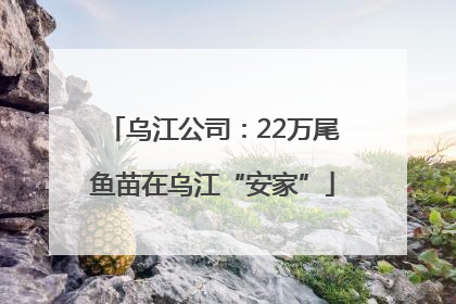 乌江公司：22万尾鱼苗在乌江“安家”