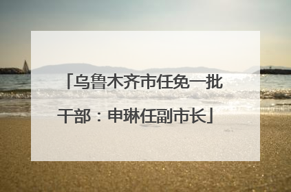 乌鲁木齐市任免一批干部：申琳任副市长