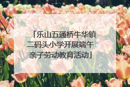 乐山五通桥牛华镇二码头小学开展端午亲子劳动教育活动