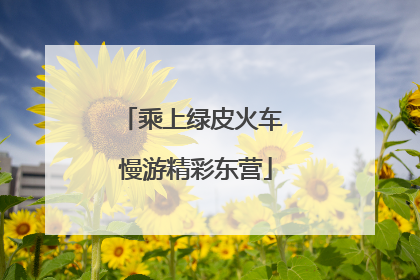 乘上绿皮火车 慢游精彩东营