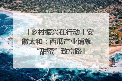 乡村振兴在行动丨安徽太和：西瓜产业铺就“甜蜜”致富路