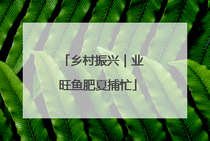 乡村振兴｜业旺鱼肥夏捕忙