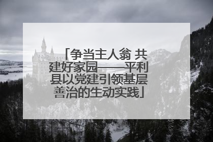 争当主人翁 共建好家园——平利县以党建引领基层善治的生动实践