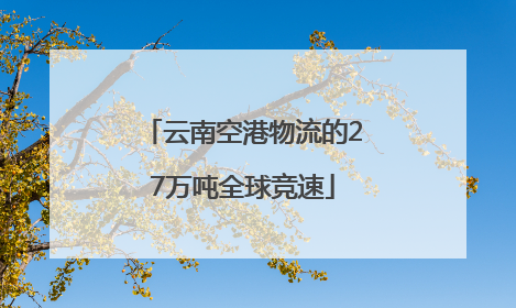 云南空港物流的27万吨全球竞速