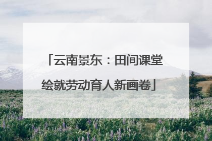 云南景东：田间课堂绘就劳动育人新画卷